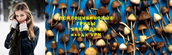 гашик Бронницы
