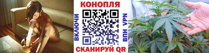 Марихуана гибрид Игарка
